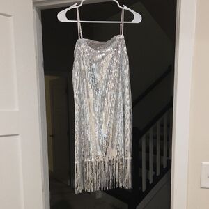 Silver Sequin Fringe Dress